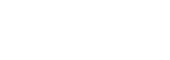 Tahir Demircioglu Architect logo